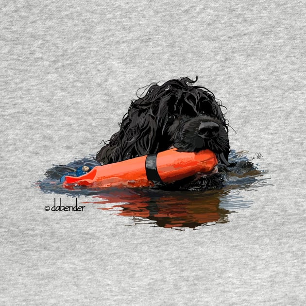 Portuguese Water Dog with Orange Bumper by avondalealley